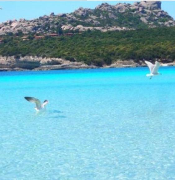 Gg Luxury Apartments - Santa Teresa Di Gallura Экстерьер фото